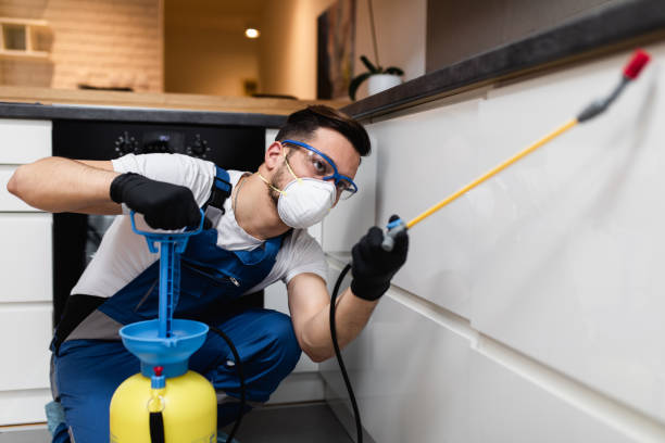 Pest Control for Restaurants in Iola, WI