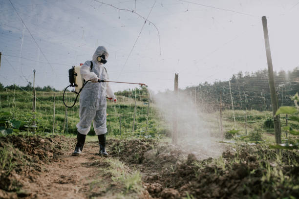 Pest Prevention Services in Iola, WI