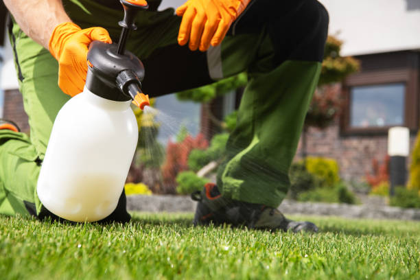 Best Mosquito Control Services  in Iola, WI