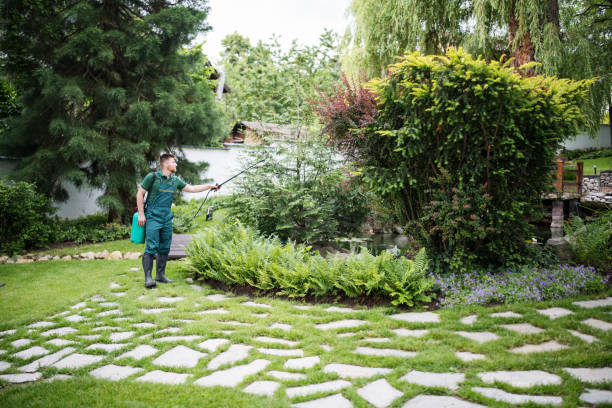 Best Pest Control Near Me  in Iola, WI