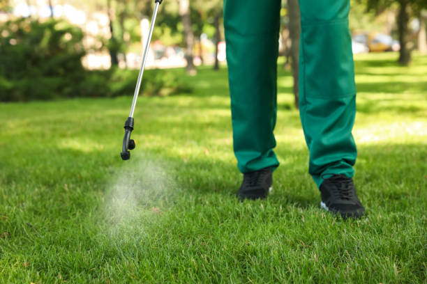 Best Affordable Exterminators  in Iola, WI