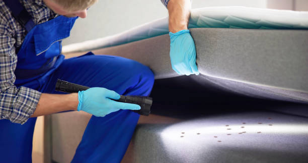 Best Best Pest Control Companies  in Iola, WI
