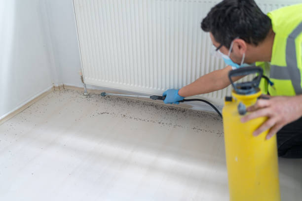 Best Bed Bug Extermination  in Iola, WI